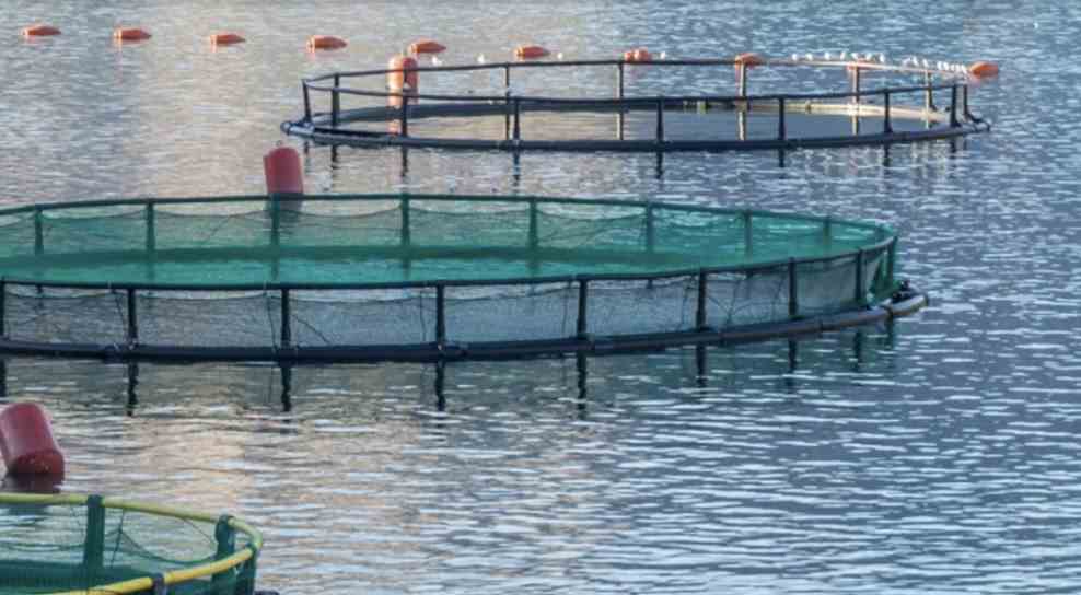 Communications and remote control capabilities for fish farm oxygenation